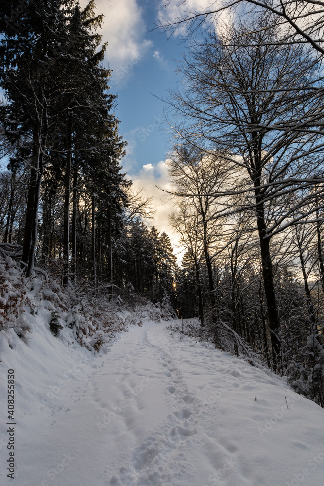 Ferien Urlaub in der Eifel: viel Spaß im Winter bei Wanderungen im Schnee Ferien Urlaub in der Eifel: viel Spaß im Winter bei Wanderungen im Schnee