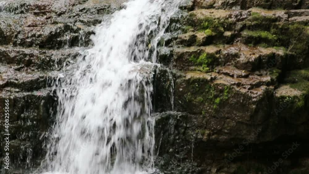 Forest river with beautiful waterfalls. Summer in the forest. Trees over the river. Waterfall cascade The beauty of the wild Forest river with beautiful waterfalls. Summer in the forest. Trees over the river. Waterfall cascade The beauty of the wild