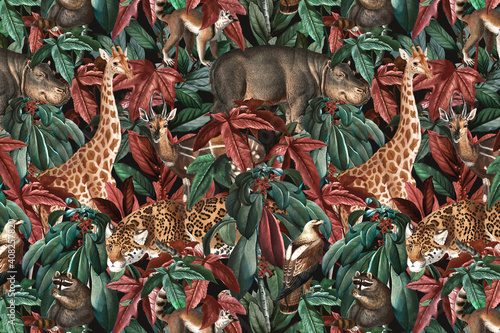 Fototapeta Naklejka Na Ścianę i Meble -  Jungle pattern background wild animals illustration