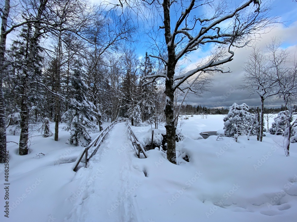 Fototapeta premium Winterspaziergang