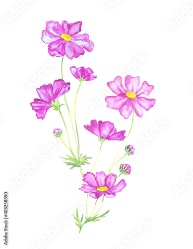 Soft pink purple flowers, isolated on white hand painted watercolor illustration