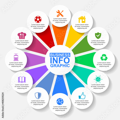 Infographic circular vector template for presentation, pie chart, diagram, business concept with 12 options