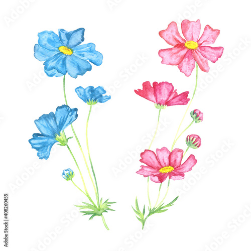 Soft pink  and blue flowers, isolated on white hand painted watercolor illustration © ArtoPhotoDesigno