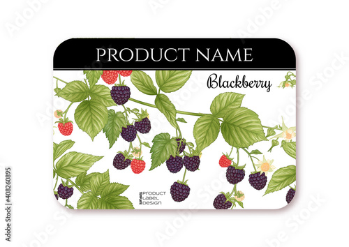 Blackberry. Ripe berries on branch. Template for product label, cosmetic packaging. Easy to edit. Graphic drawing, engraving style. Vector illustration..