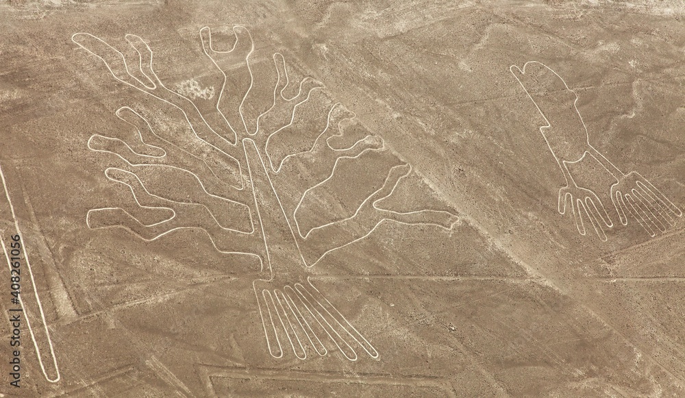 Tree and hands geoglyphs, Nazca lines and geoglyphs Stock Photo | Adobe ...