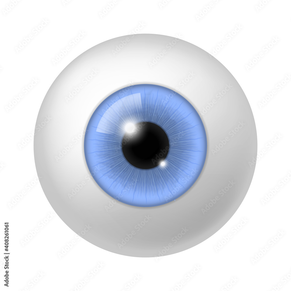 Realistic human eyeball. Anatomy blue eye close up element, 3d round iris retina and pupil, optical lens, colorful ophthalmology clinic anatomy poster, vector isolated illustration Realistic human eyeball. Anatomy blue eye close up element, 3d round iris retina and pupil, optical lens, colorful ophthalmology clinic anatomy poster, vector isolated illustration