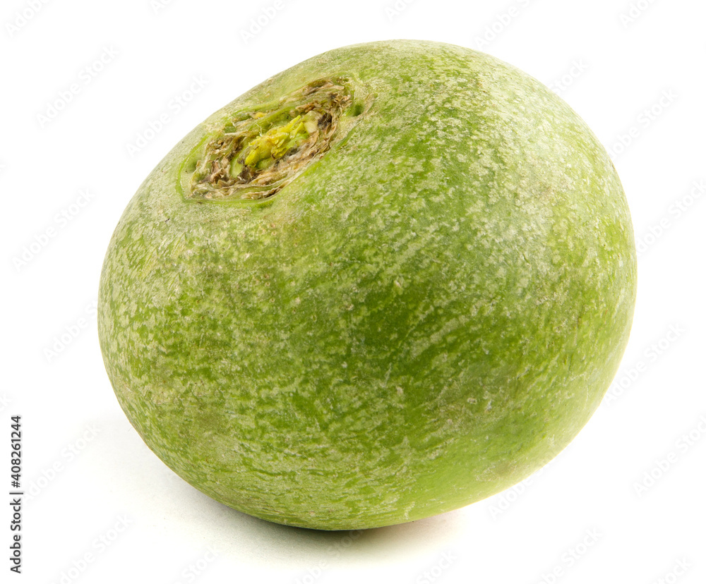 The green radish is isolated on a white background. The green radish is isolated on a white background.