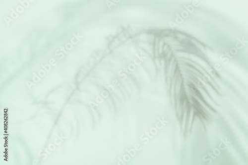 Abstract background of tree branch palm shadows on wall  natural mint green abstract background