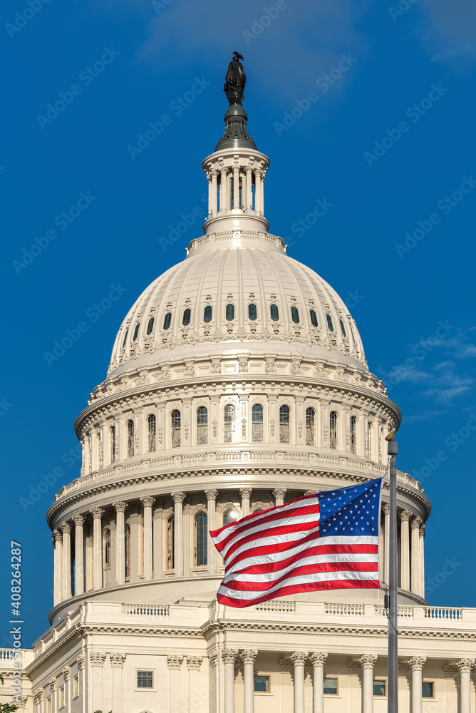 Obraz premium US Capitol Building with American flags is the home of the United States Congress in Washington D.C, USA.