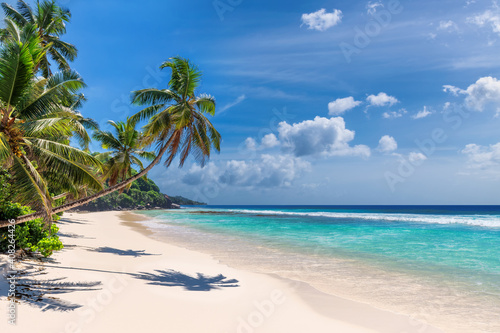 Tropical white sand beach with coconut palm trees and the turquoise sea on Caribbean island. © lucky-photo