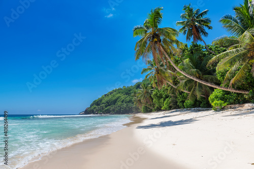 Sunny tropical white sand beach with coco palms and the turquoise sea on Caribbean island.