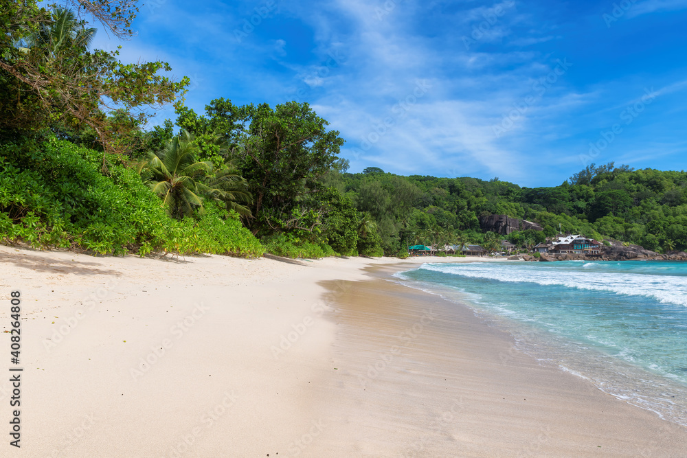 Tropical Sunny beach and coconut palms on Seychelles. Summer vacation and tropical beach concept.