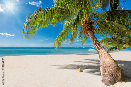 Tropical Sunny beach and coco palms on white sand in paradise island. Summer vacation and tropical beach concept.