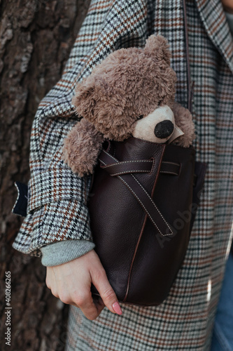 teddy bear in the hands