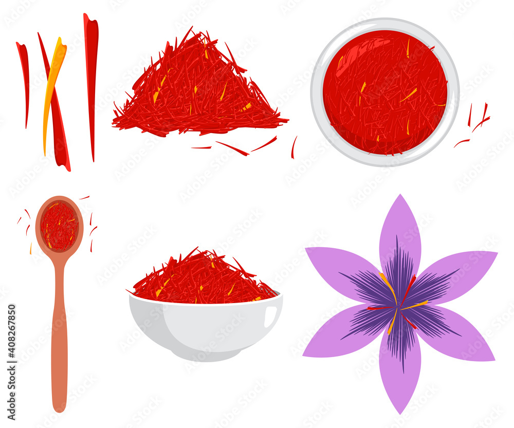 Fototapeta premium Saffron flower and spice vector cartoon set isolated on a white background.