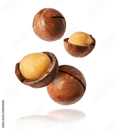 Fresh tasty macadamia nuts falling in the air