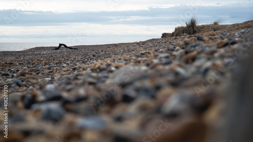 Φωτογραφία A low view of a pebbly beach