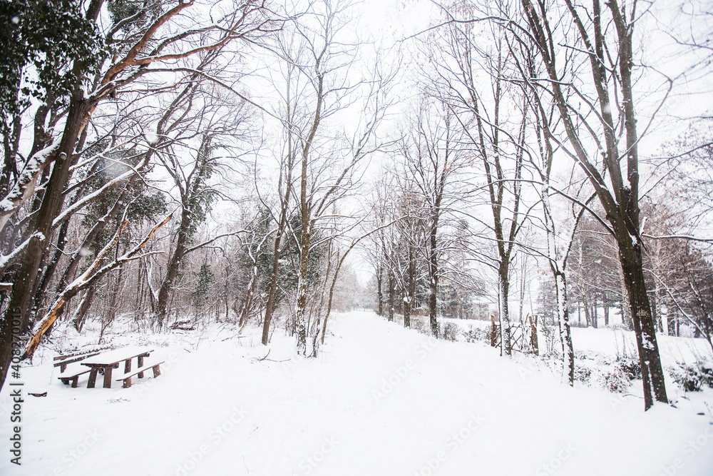 Winter nature landscape. Snowy day in nature. Nature landscape of Fruska Gora, northern Serbia. Winter nature landscape. Snowy day in nature. Nature landscape of Fruska Gora, northern Serbia.