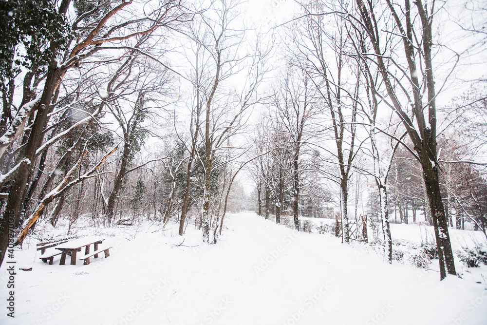 Winter nature landscape. Snowy day in nature. Nature landscape of Fruska Gora, northern Serbia.