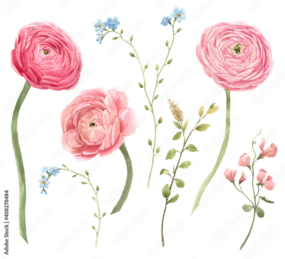 Slika na platnu Beautiful floral set with watercolor gentle red spring ranunculus flowers