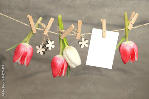 Tulpen und Karte	
 photo