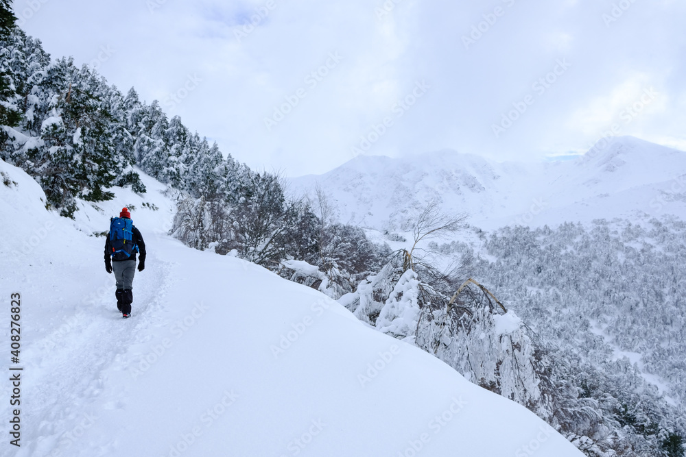 trekking in the snowed mountains