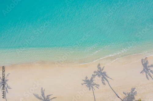 Aerial view top view beautiful topical beach white sand coconut palm tree shadows sea shore landscape top view empty and clean beach. Waves surf empty beach from above. Summer vacation travel template