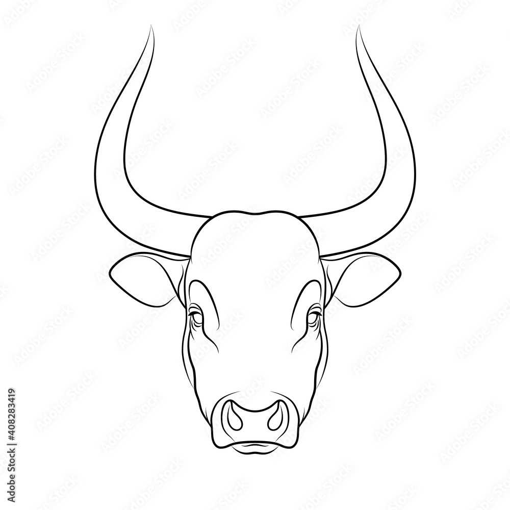 Stencil of stylized bull outline on white background. Line art. Stencil art. Linear drawing. Stencil of stylized bull outline on white background. Line art. Stencil art. Linear drawing.