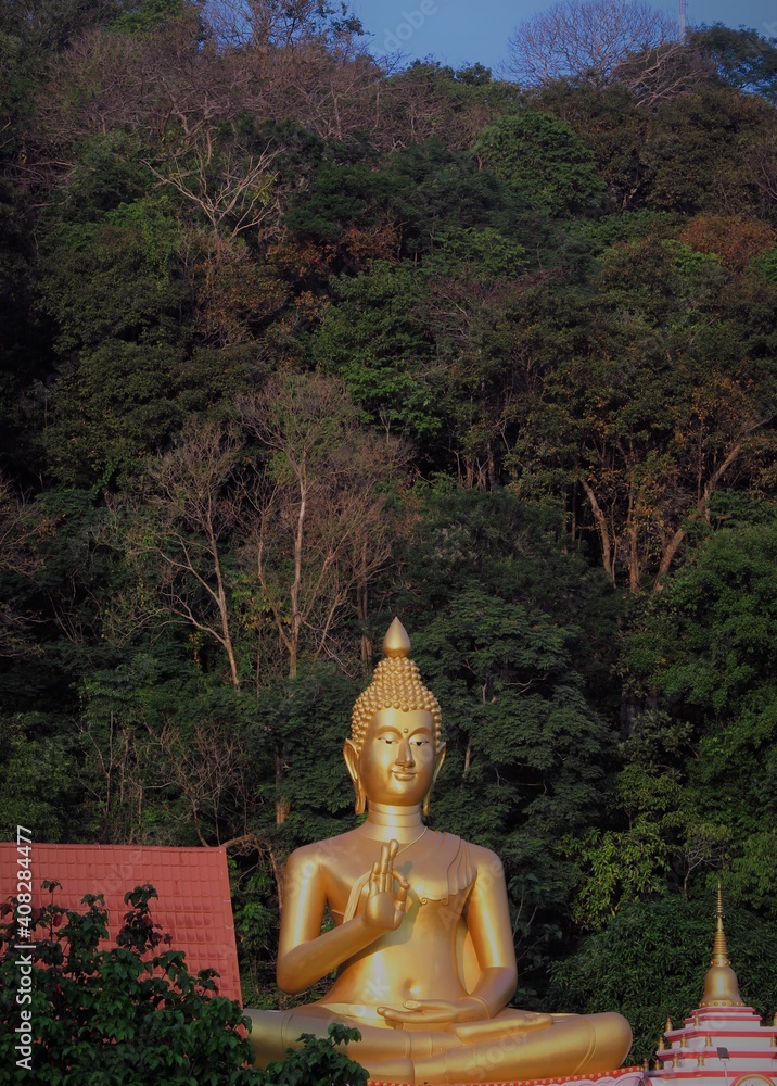 buddha statue buddha statue