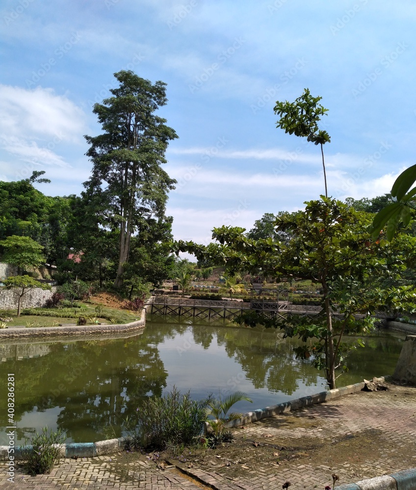 City Park filled with trees, plants and pond City Park filled with trees, plants and pond