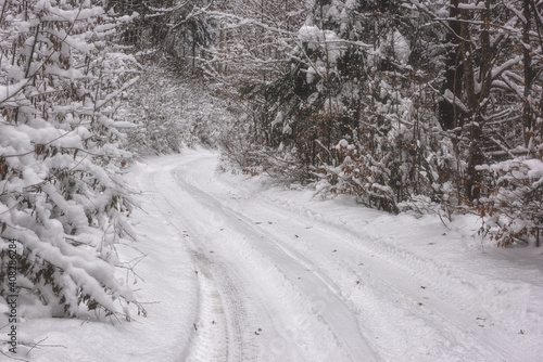 Narrow winding mountain picturesque road in snow through the forest, winter l...
