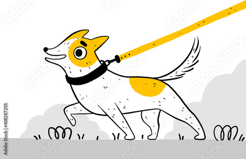 Funny cute dog in a black collar for a walk in the park. The puppy pulls the leash and does not obey the owner