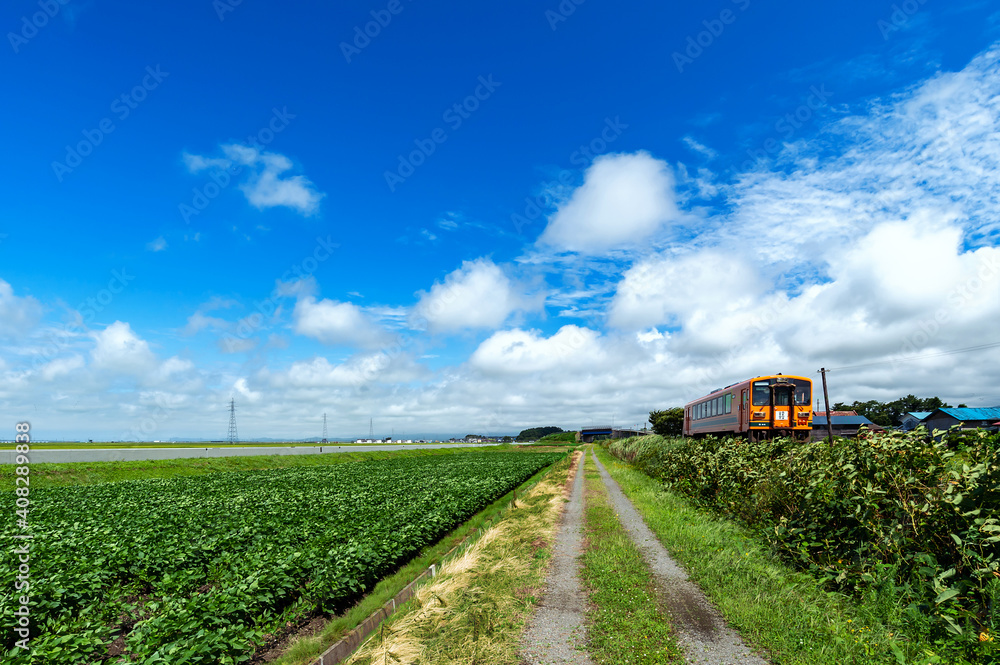 Fototapeta premium 【青森県津軽地方】津軽の水田地帯とローカル鉄道