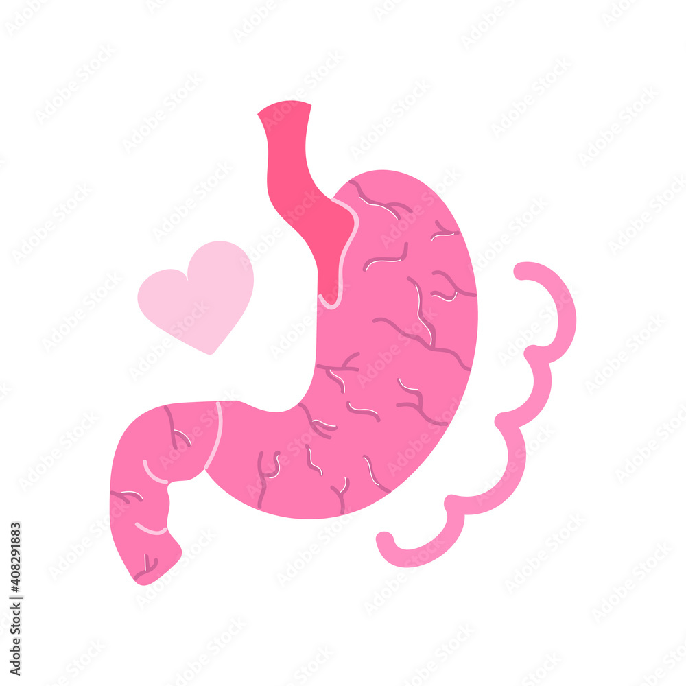 Hand drawn human stomach, medical, healthy concept. Flat illustration. Hand drawn human stomach, medical, healthy concept. Flat illustration.