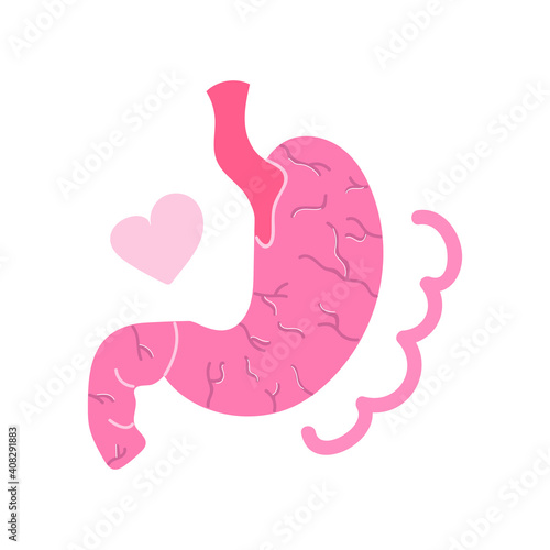 Hand drawn human stomach, medical, healthy concept. Flat illustration.