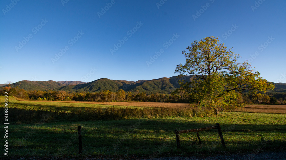Afternoon in Cades Cove