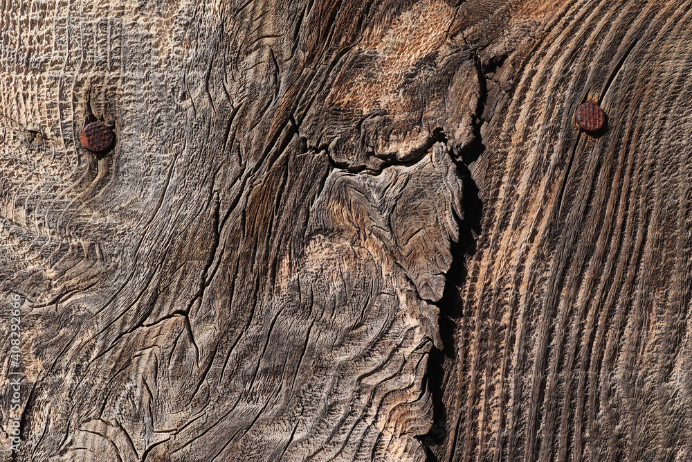 Rustic wood planks texture background Rustic wood planks texture background