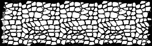 Reptile skin. Animal print background.