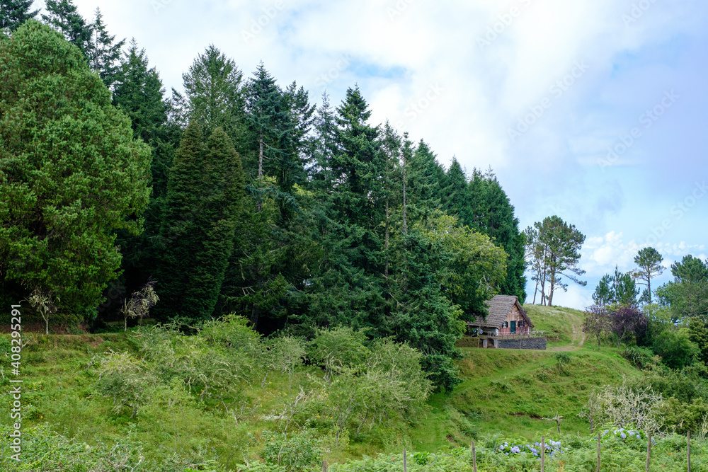 Typical house in the woods