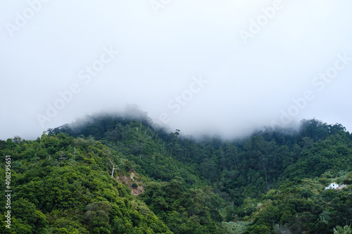 mountain peak covered by clouds