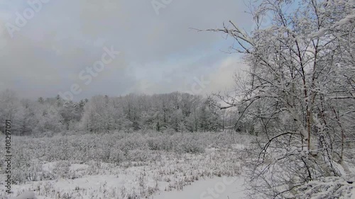 Wallpaper Mural Drone Footage of Winter Scene in Northern Michigan.  Harrison, Michigan Torontodigital.ca