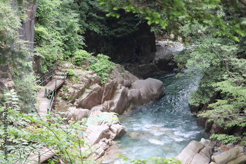 きれいな川