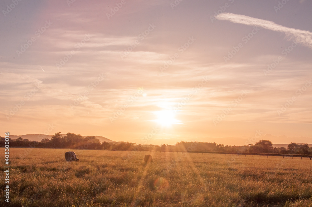 Sunset over the fields in the British countryside.