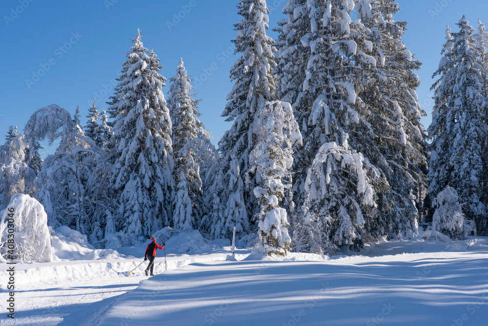 beautiful active senior woman cross-country skiing in fresh fallen powder snow in the Allgau alps near Immenstadt, Bavaria, 