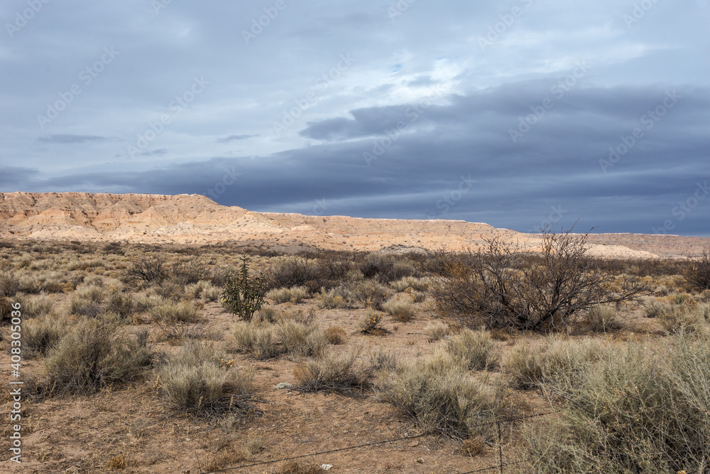 Desert and brush in front of mesa plateau in open desert range on cloudy day in rural New Mexico