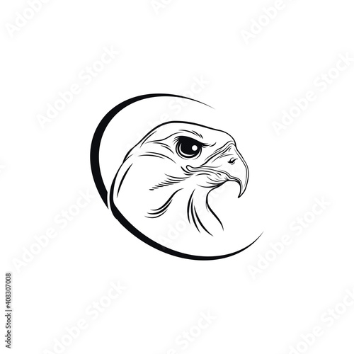 circle eagle head logo concept