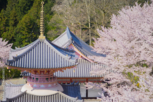 奈良の壷坂寺の桜