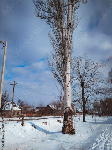 landscape with snow