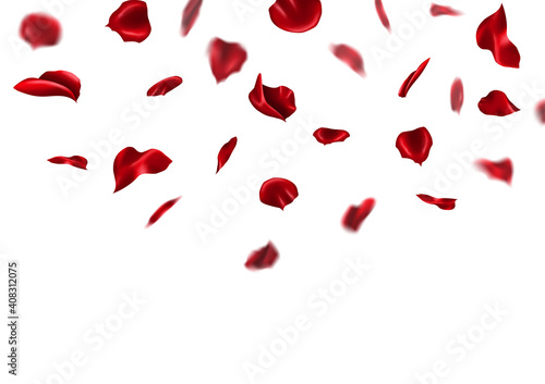 Fototapeta Naklejka Na Ścianę i Meble -  Falling red rose petals isolated on white background. Romantic wedding valentine abstract vector illustration.