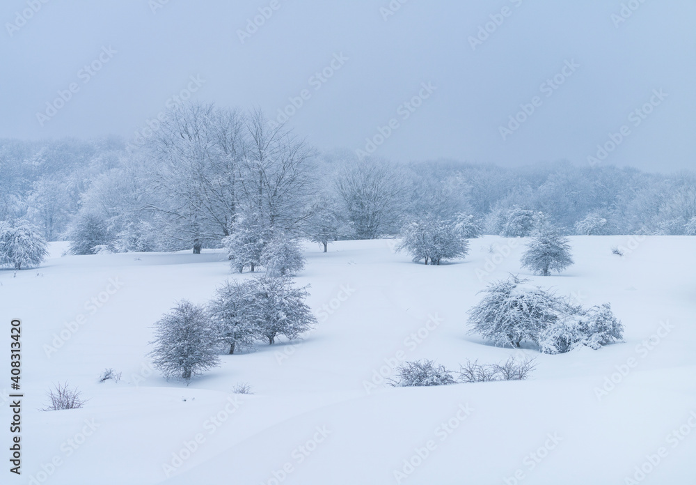 Espino Albar and Beech Forest in the Raso de Opakua snowed in winter in the Port of Opakua, in the Natural Park of the Sierra de Entzia. Alava. Basque Country. Spain.Europe Espino Albar and Beech Forest in the Raso de Opakua snowed in winter in the Port of Opakua, in the Natural Park of the Sierra de Entzia. Alava. Basque Country. Spain.Europe